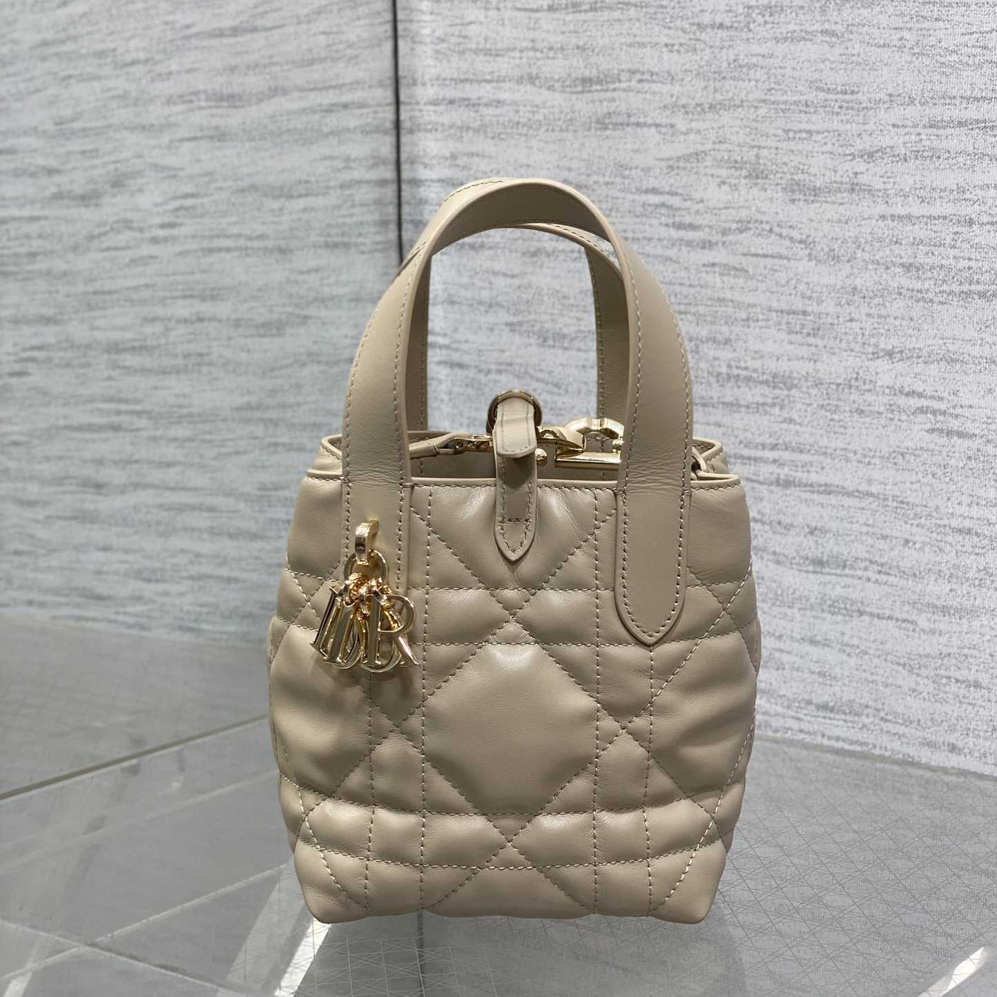 Dior Toujours Vertical Nano Tote Bag  - EUR FASHION