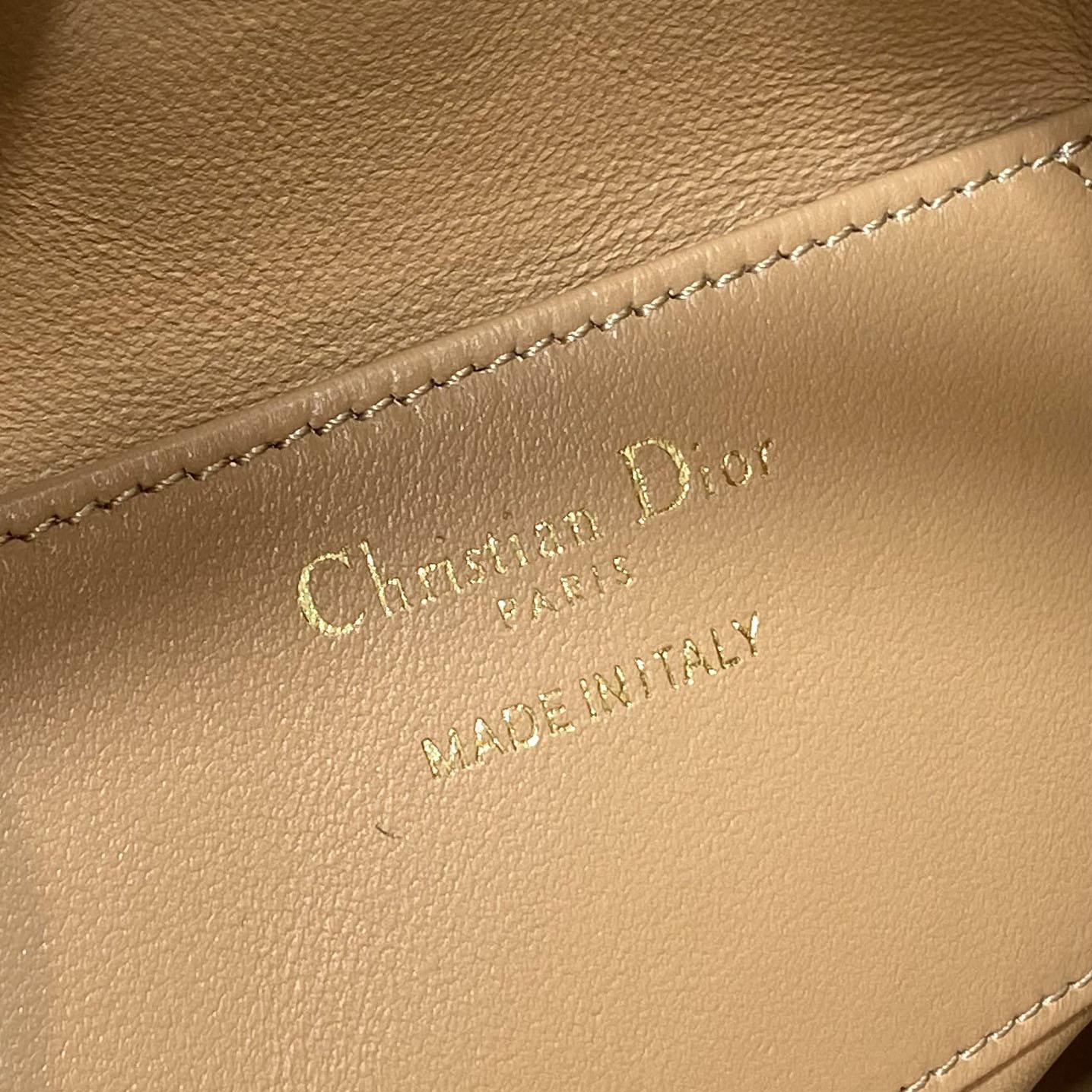 Dior Caro Nano Bucket Bag  - EUR FASHION
