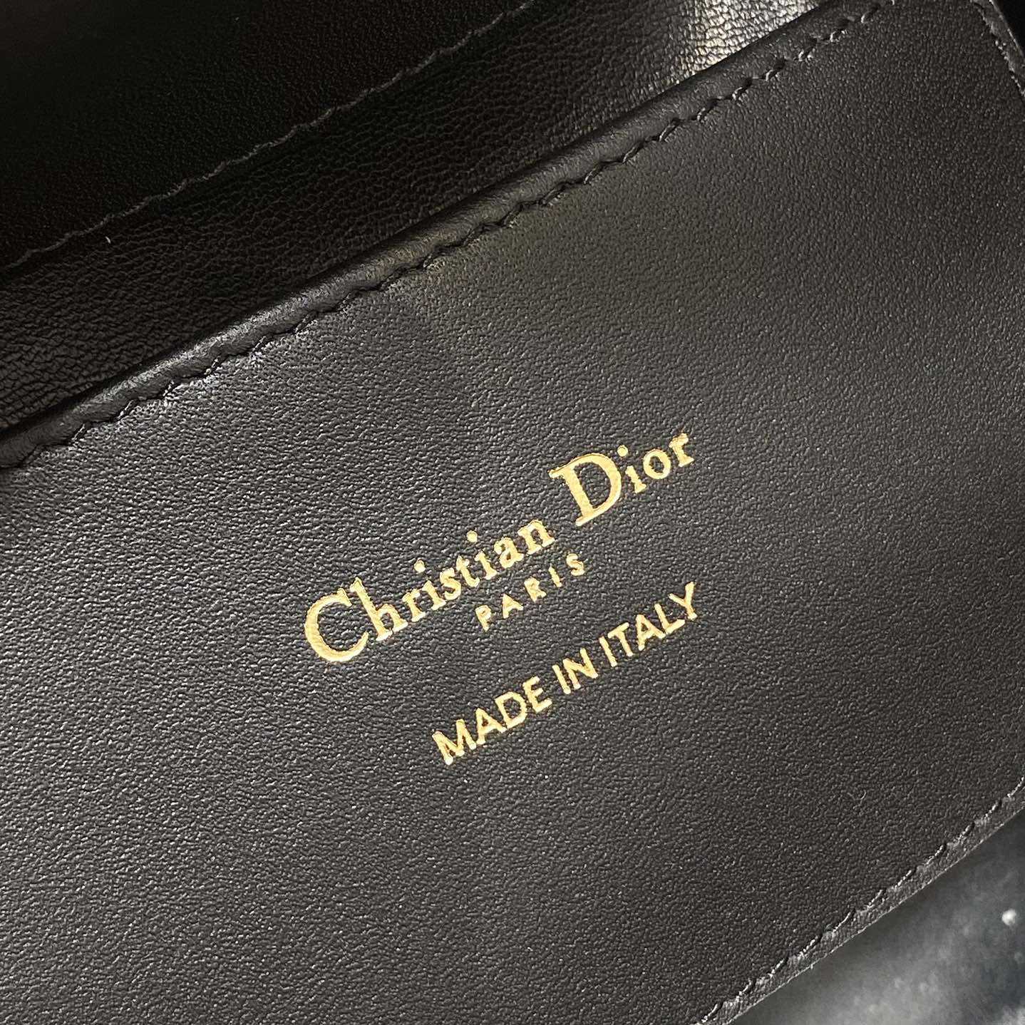 Dior Toujours Vertical Nano Tote Bag  - EUR FASHION