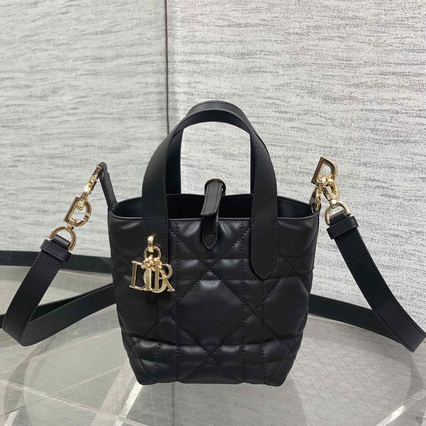 Dior Toujours Vertical Nano Tote Bag  - EUR FASHION