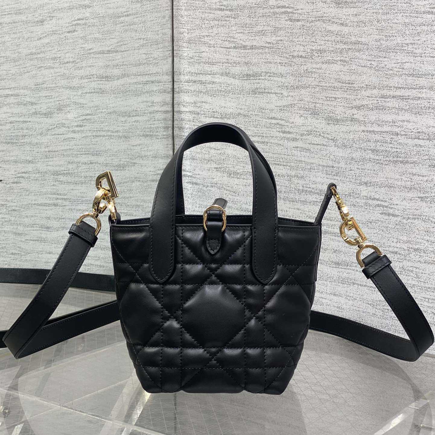 Dior Toujours Vertical Nano Tote Bag  - EUR FASHION