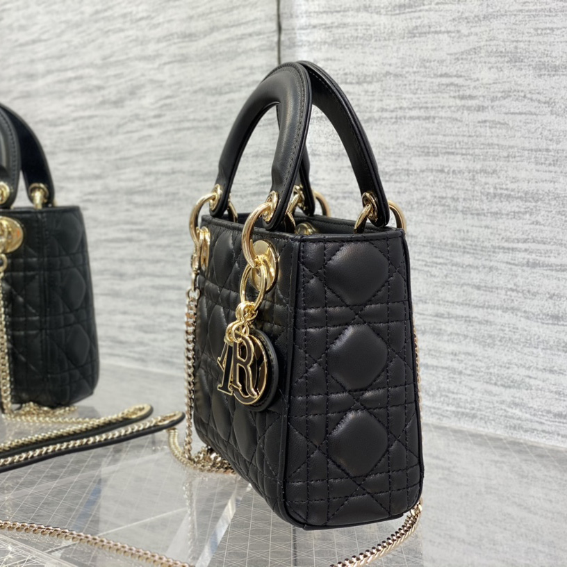 Dior Lady Dior Bag   17cm - EUR FASHION