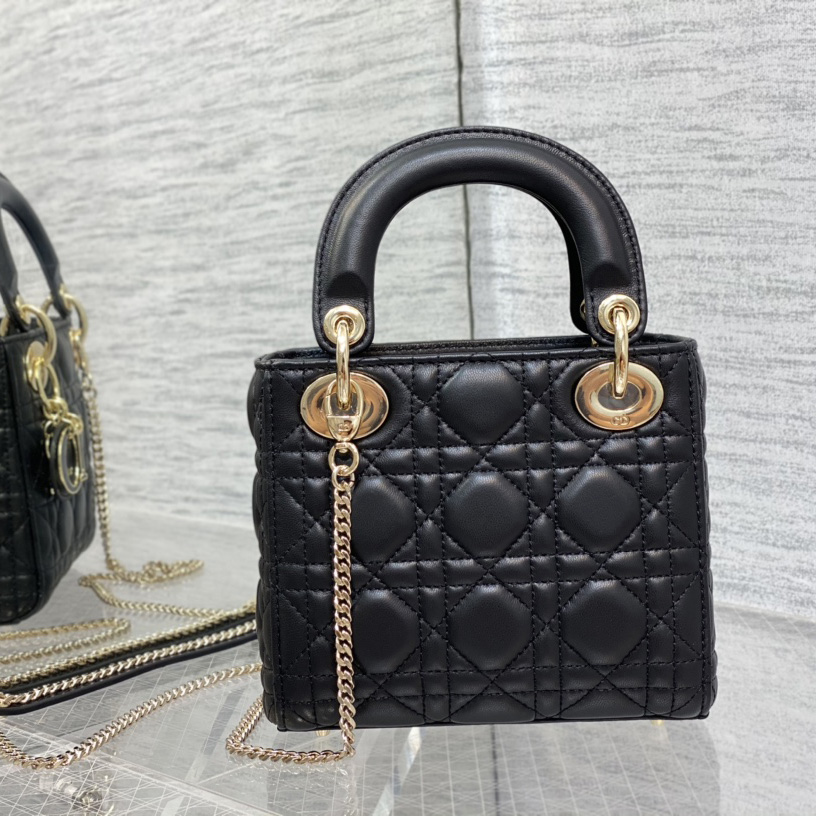 Dior Lady Dior Bag   17cm - EUR FASHION