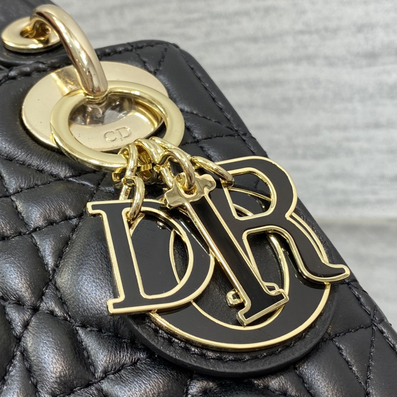 Dior Lady Dior Bag   17cm - EUR FASHION