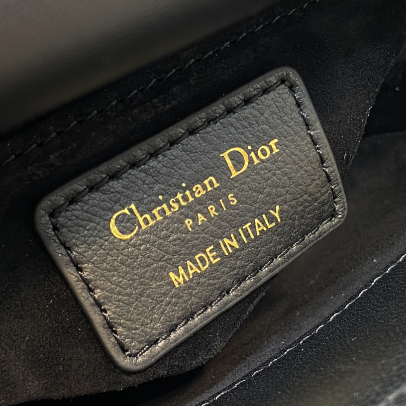 Dior Lady Dior Bag   17cm - EUR FASHION