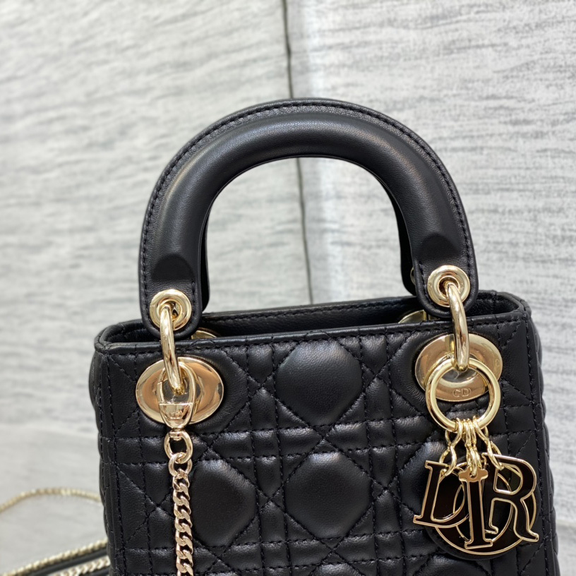 Dior Lady Dior Bag   17cm - EUR FASHION