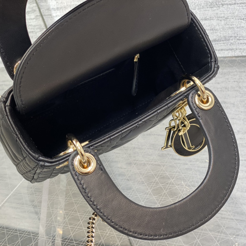 Dior Lady Dior Bag   17cm - EUR FASHION