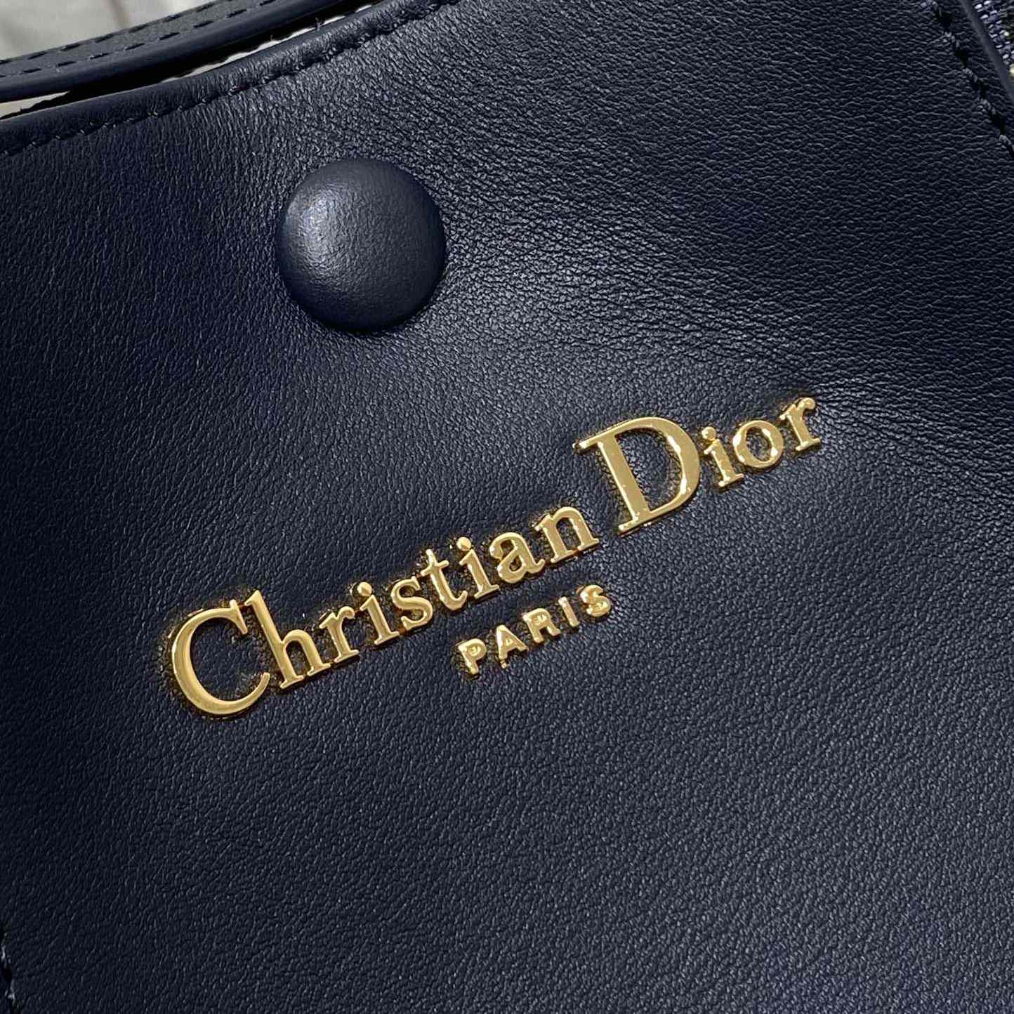 Dior Medium Signature Bucket Bag  - EUR FASHION