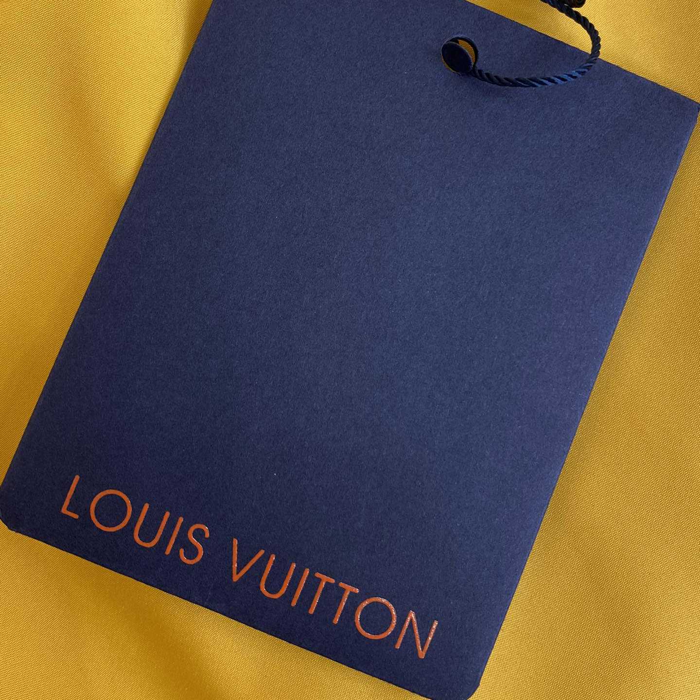 Louis Vuitton Monogram Printed Technical Track Pants   1AFWQM - EUR FASHION