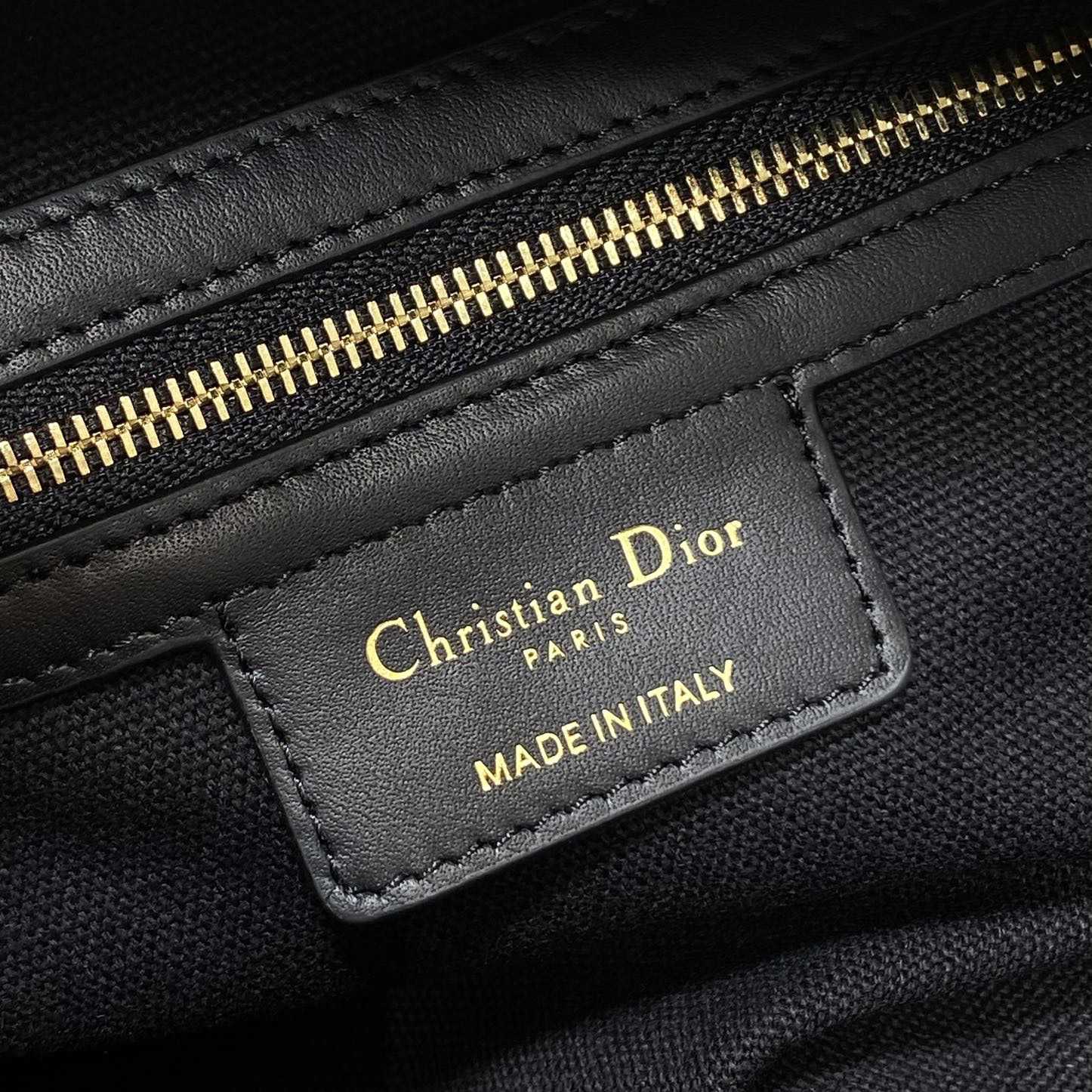 Dior Medium D-Journey Bag in Shiny Goatskin  - EUR FASHION