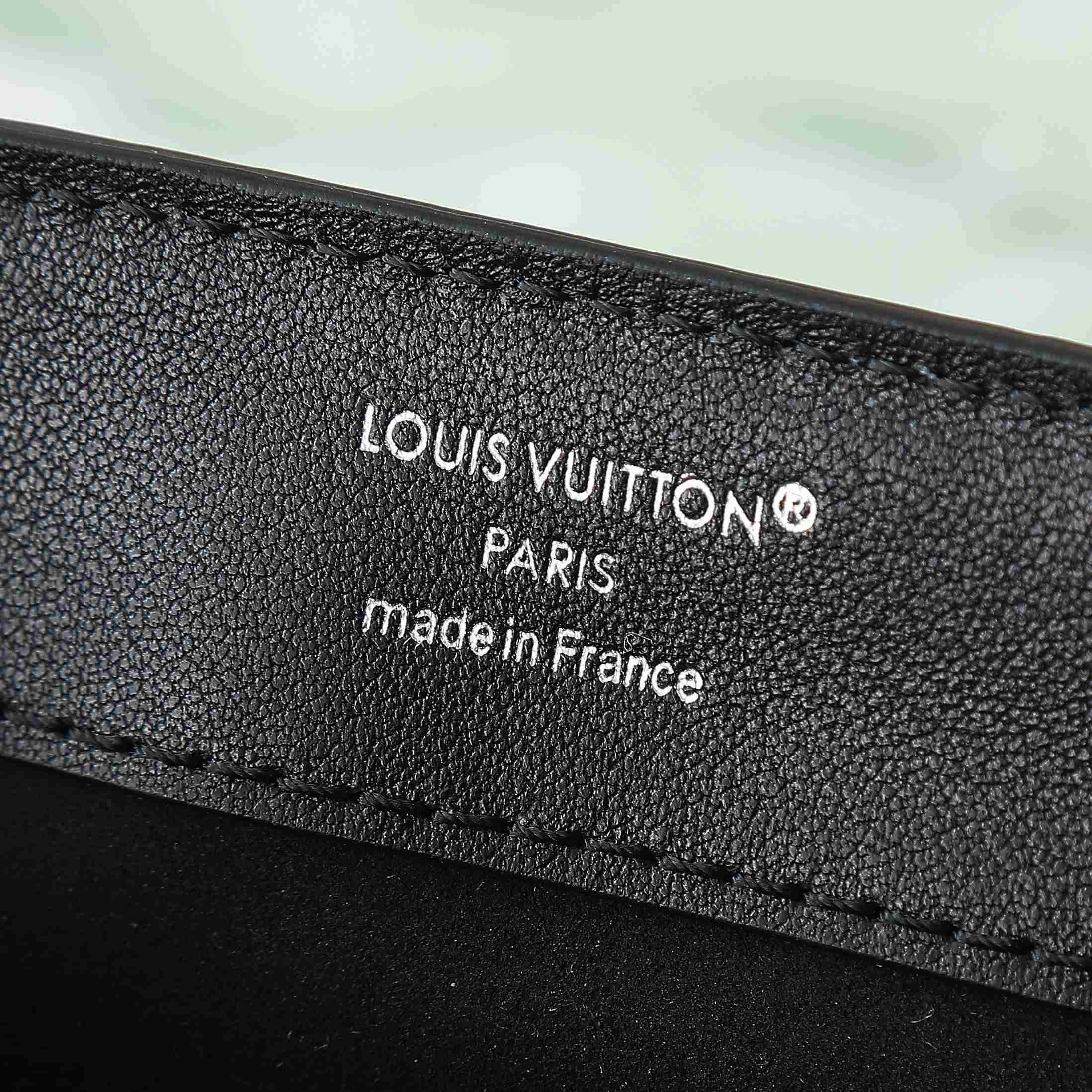 Louis Vuitton Dauphine Soft Vibe MM   M13450 - EUR FASHION