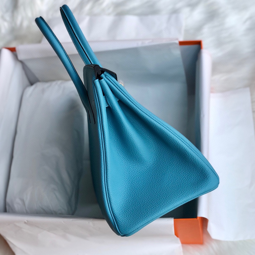 Hermès Blue Mallard Togo 25 cm Birkin Bag - EUR FASHION