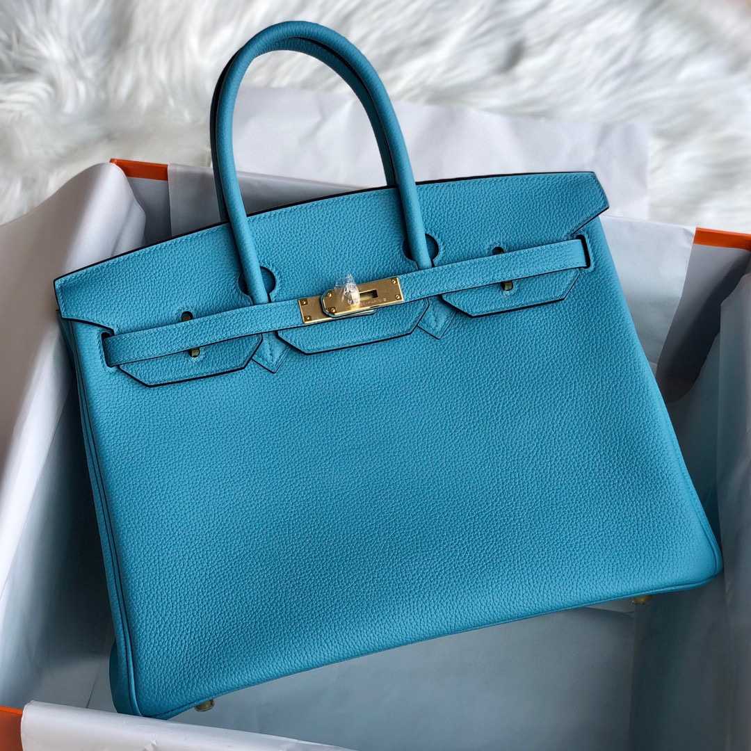 Hermès Blue Mallard Togo 25 cm Birkin Bag - EUR FASHION