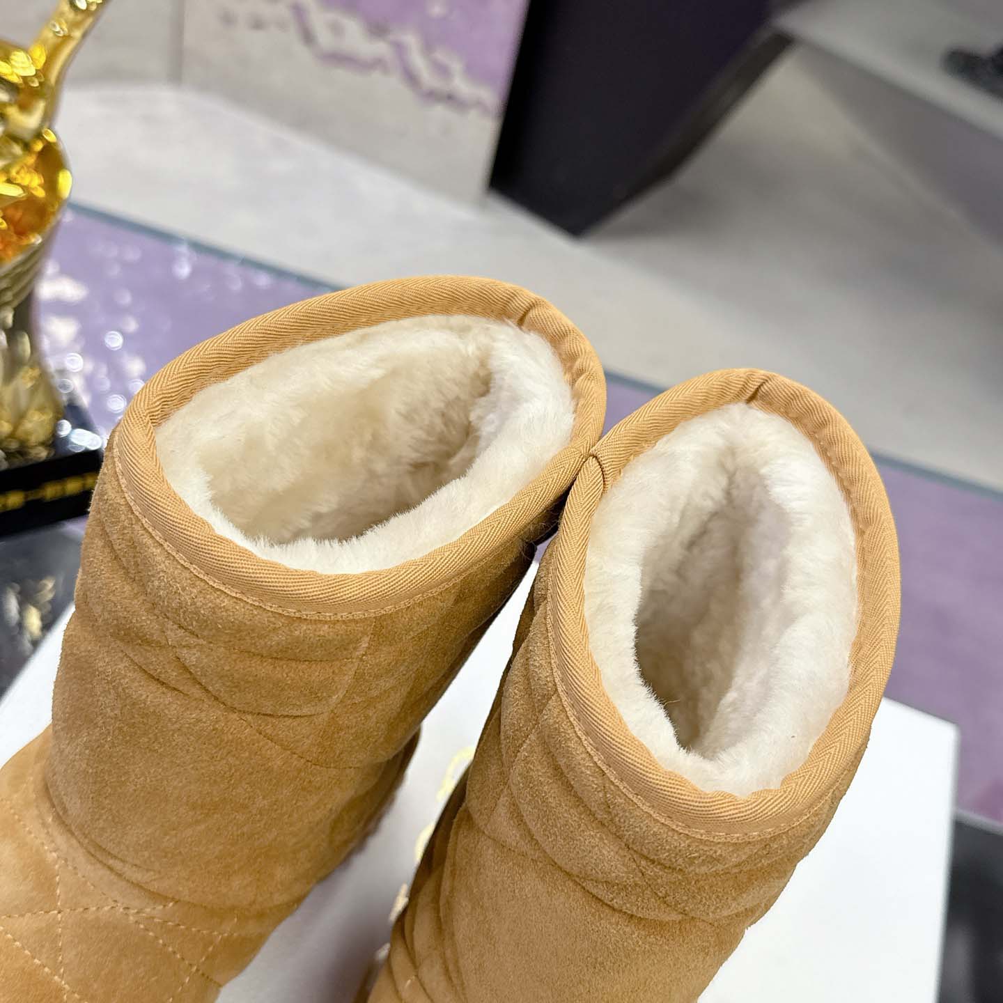 Dior Frost Ankle Boot  - EUR FASHION