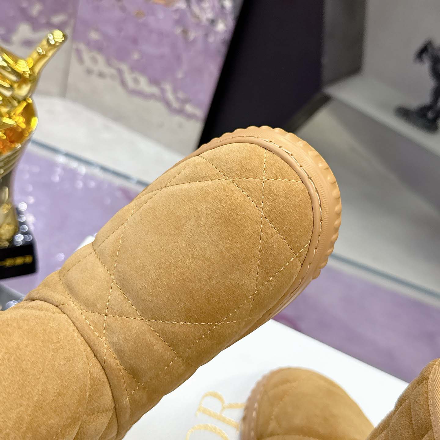 Dior Frost Ankle Boot  - EUR FASHION