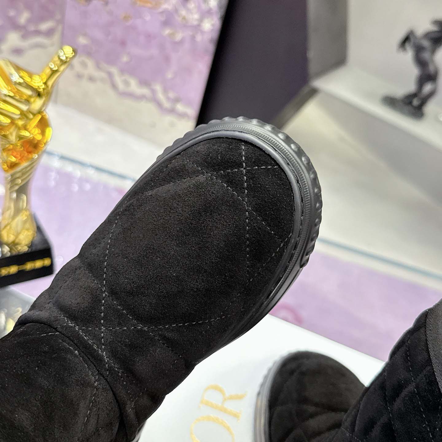 Dior Frost Ankle Boot  - EUR FASHION