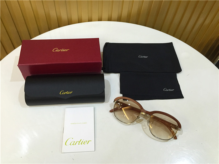 Cartier 1116679 Sunglasses In Silver Brown Gradient - EUR FASHION