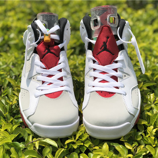Jordan AJ6 Sneaker - EUR FASHION