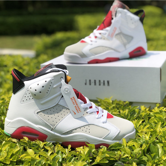 Jordan AJ6 Sneaker - EUR FASHION