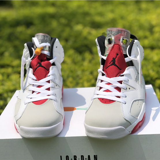 Jordan AJ6 Sneaker - EUR FASHION