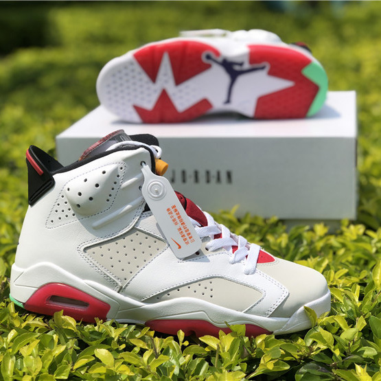 Jordan AJ6 Sneaker - EUR FASHION