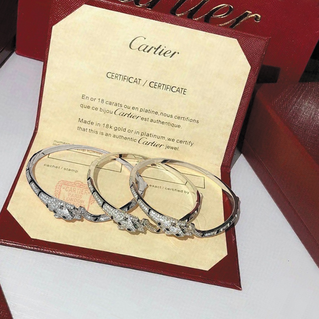 Cartier Bracelet - EUR FASHION