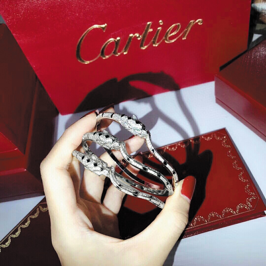 Cartier Bracelet - EUR FASHION