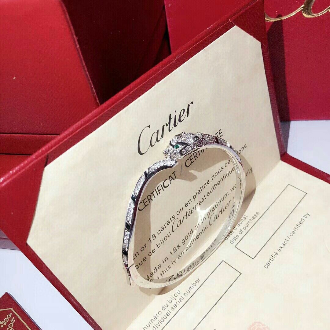 Cartier Bracelet - EUR FASHION