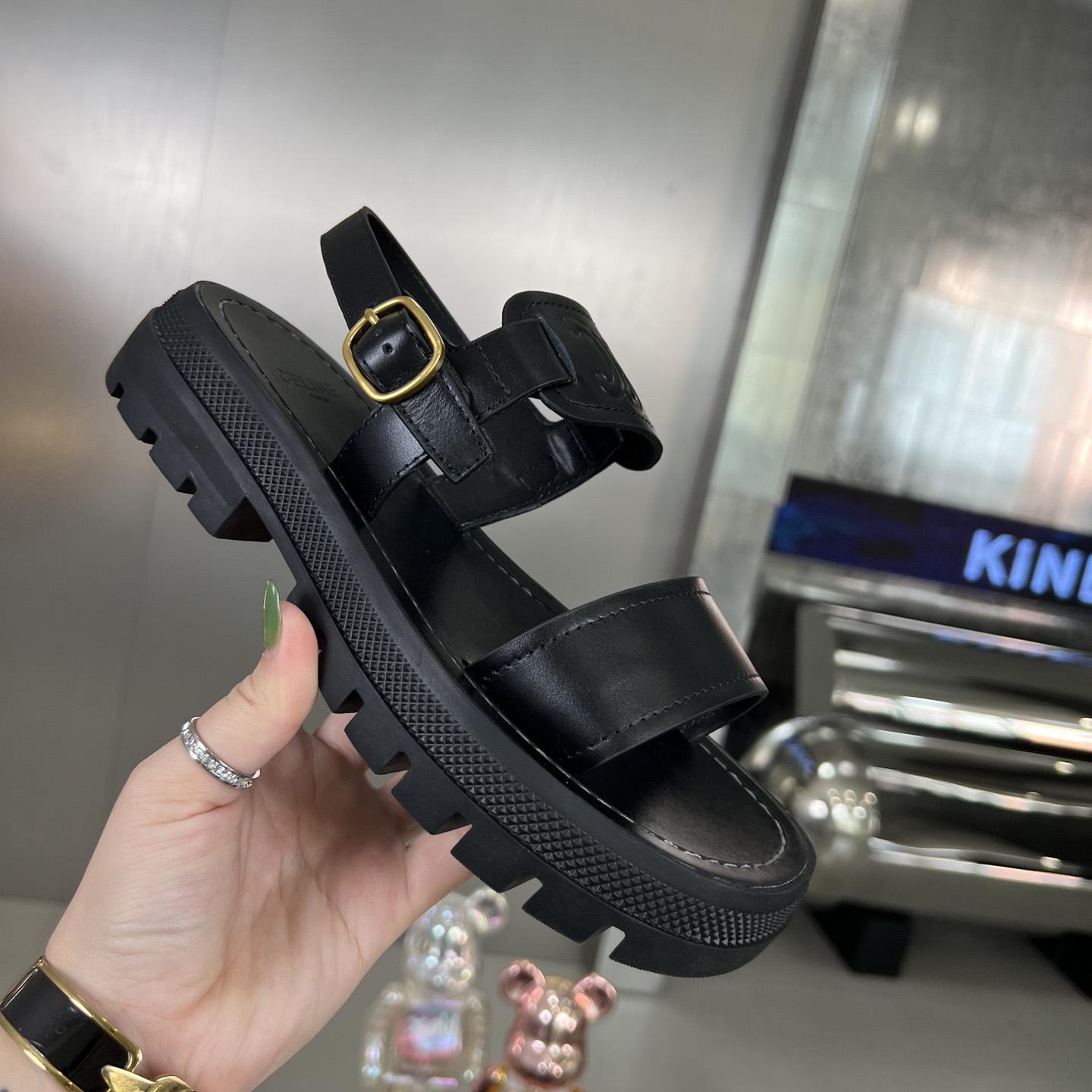 Celine Clea Triomphe Sandal In Vegetable - EUR FASHION