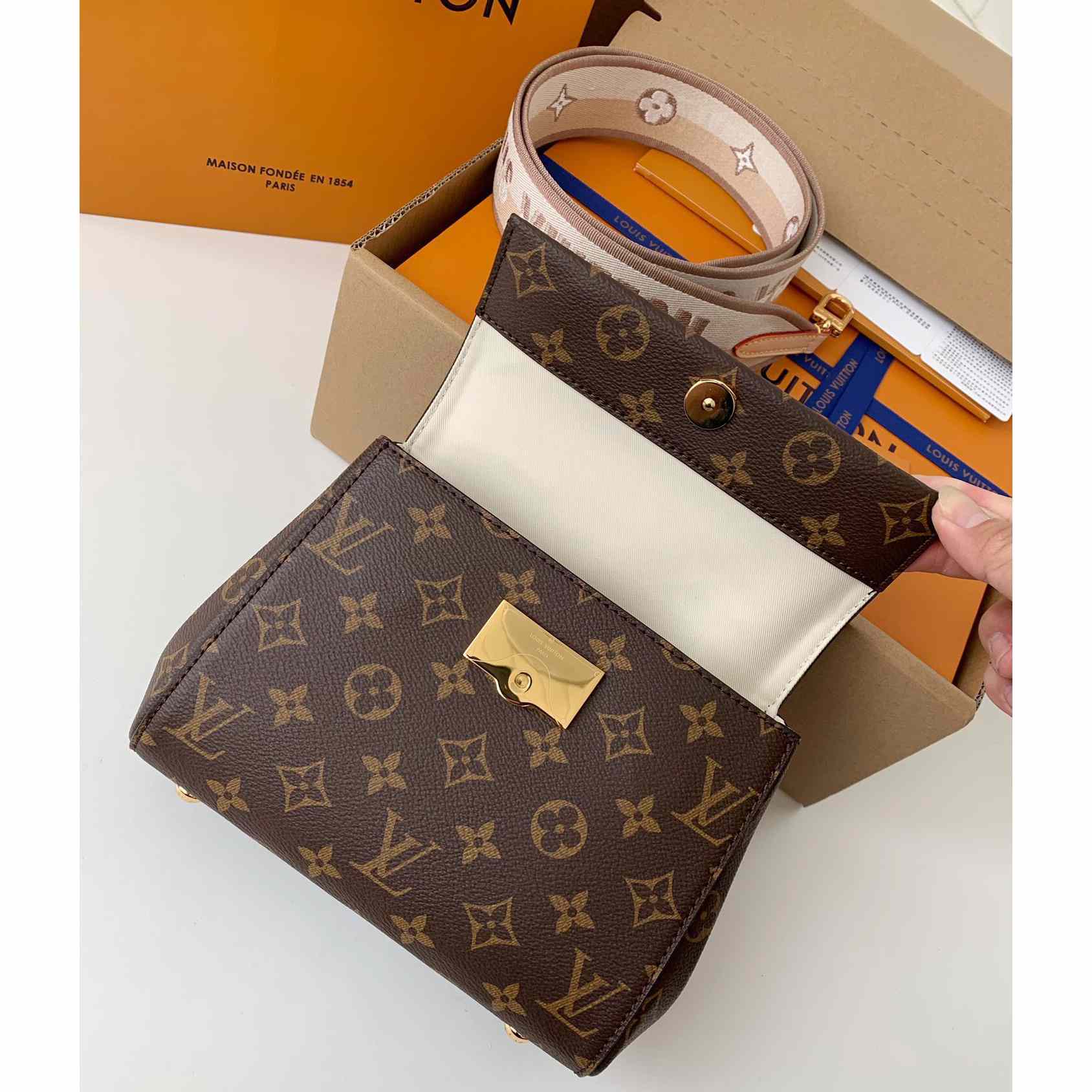 Louis Vuitton Cluny Mini Handbag  (20*16*7.5cm)    M46055 - EUR FASHION