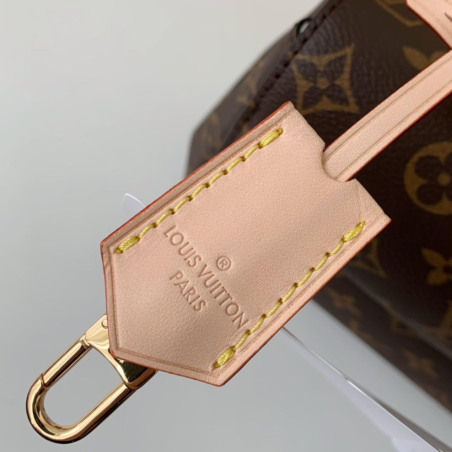 Louis Vuitton Cluny Mini Handbag  (20*16*7.5cm)    M46055 - EUR FASHION