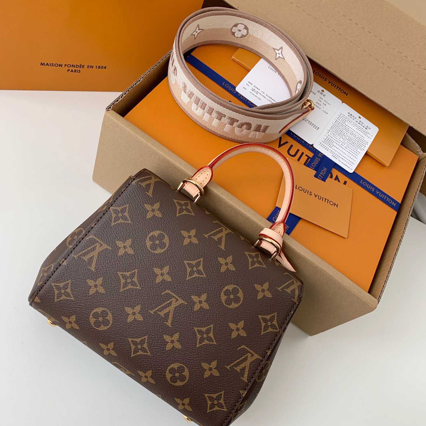 Louis Vuitton Cluny Mini Handbag  (20*16*7.5cm)    M46055 - EUR FASHION