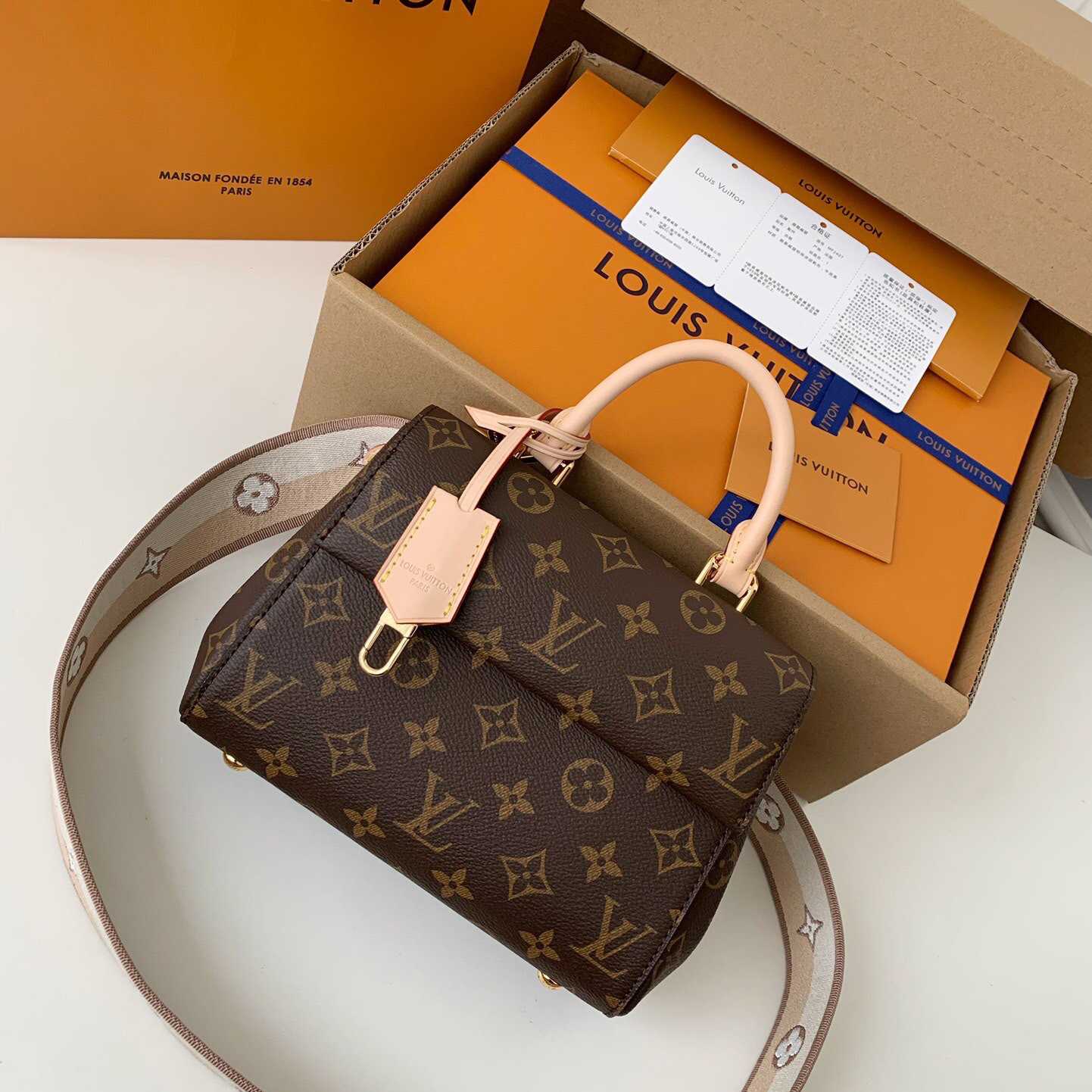Louis Vuitton Cluny Mini Handbag  (20*16*7.5cm)    M46055 - EUR FASHION