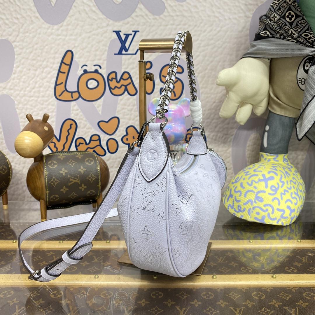 Louis Vuitton Baia PM (26 *17 *7.5cm)    M22959 - EUR FASHION