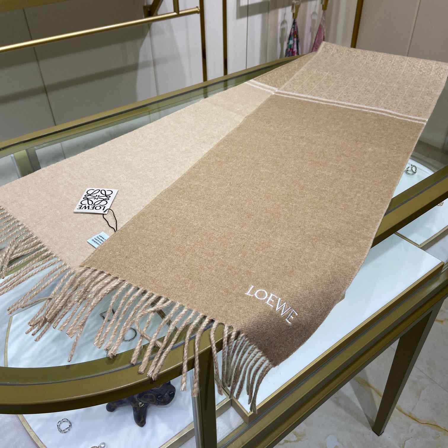 Loewe Scarf In Wool And Cashmere - EUR FASHION