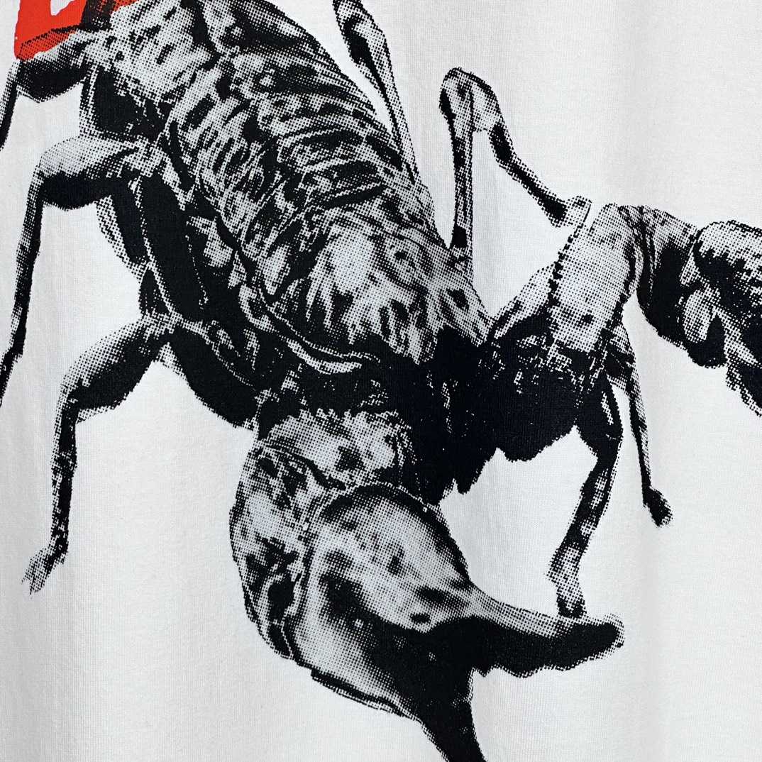 Stussy Scorpion Tee - EUR FASHION