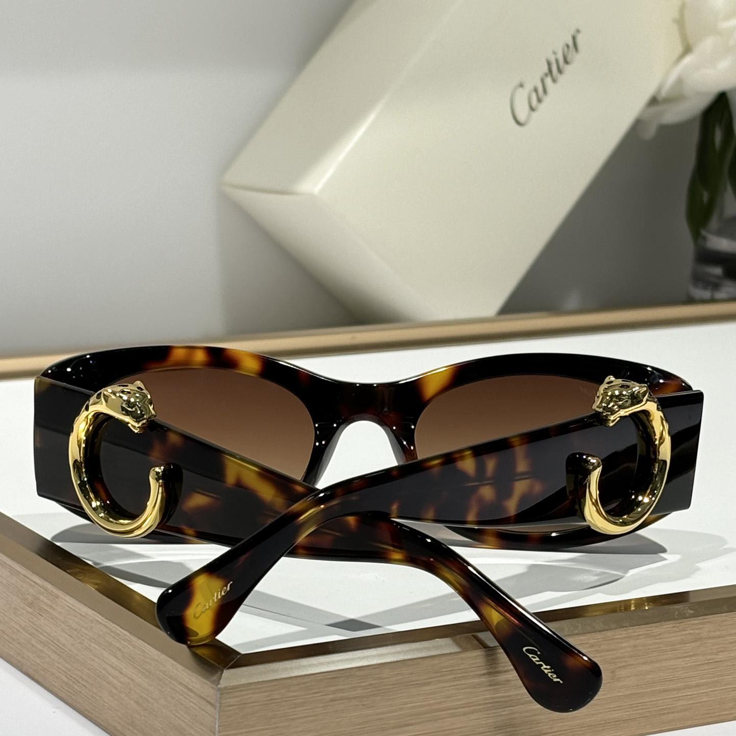 Cartier CT0472S Sunglasses    - EUR FASHION