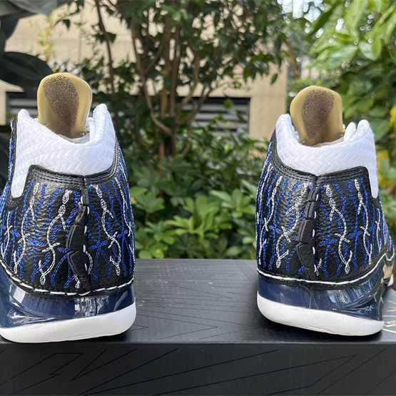 Jordan Air Jordan 23 Motorsports Wizards Sneaker    318376-011 - EUR FASHION