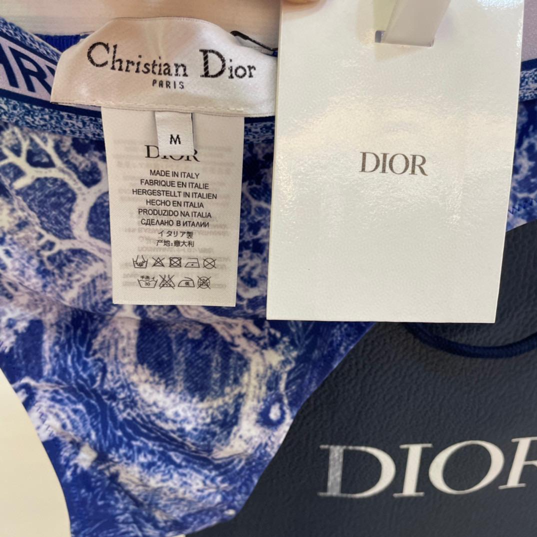 Dior Two Piece Swimsuit - EUR FASHION