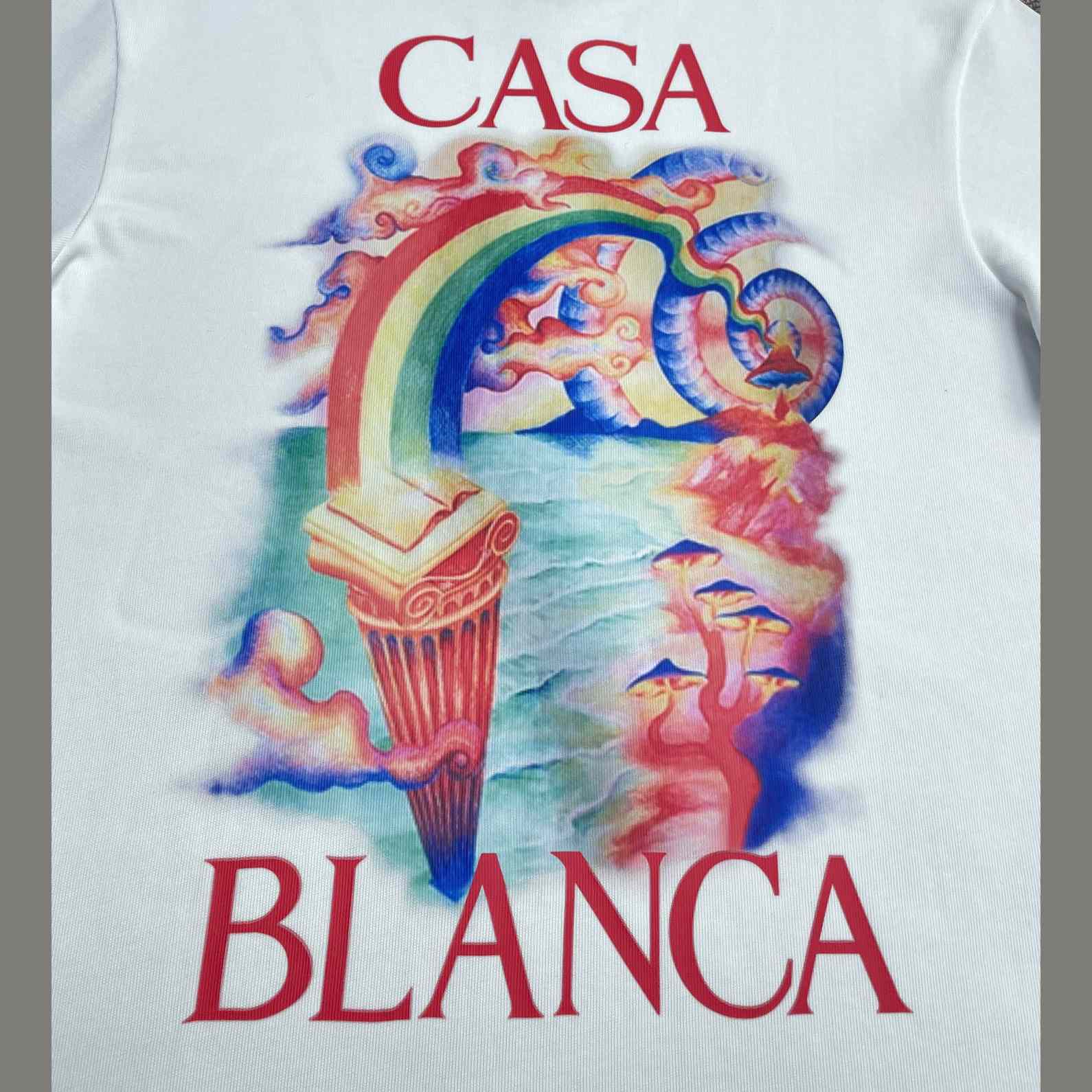 Casablanca Nature Teacher Printed Cotton T-Shirt   C950 - EUR FASHION