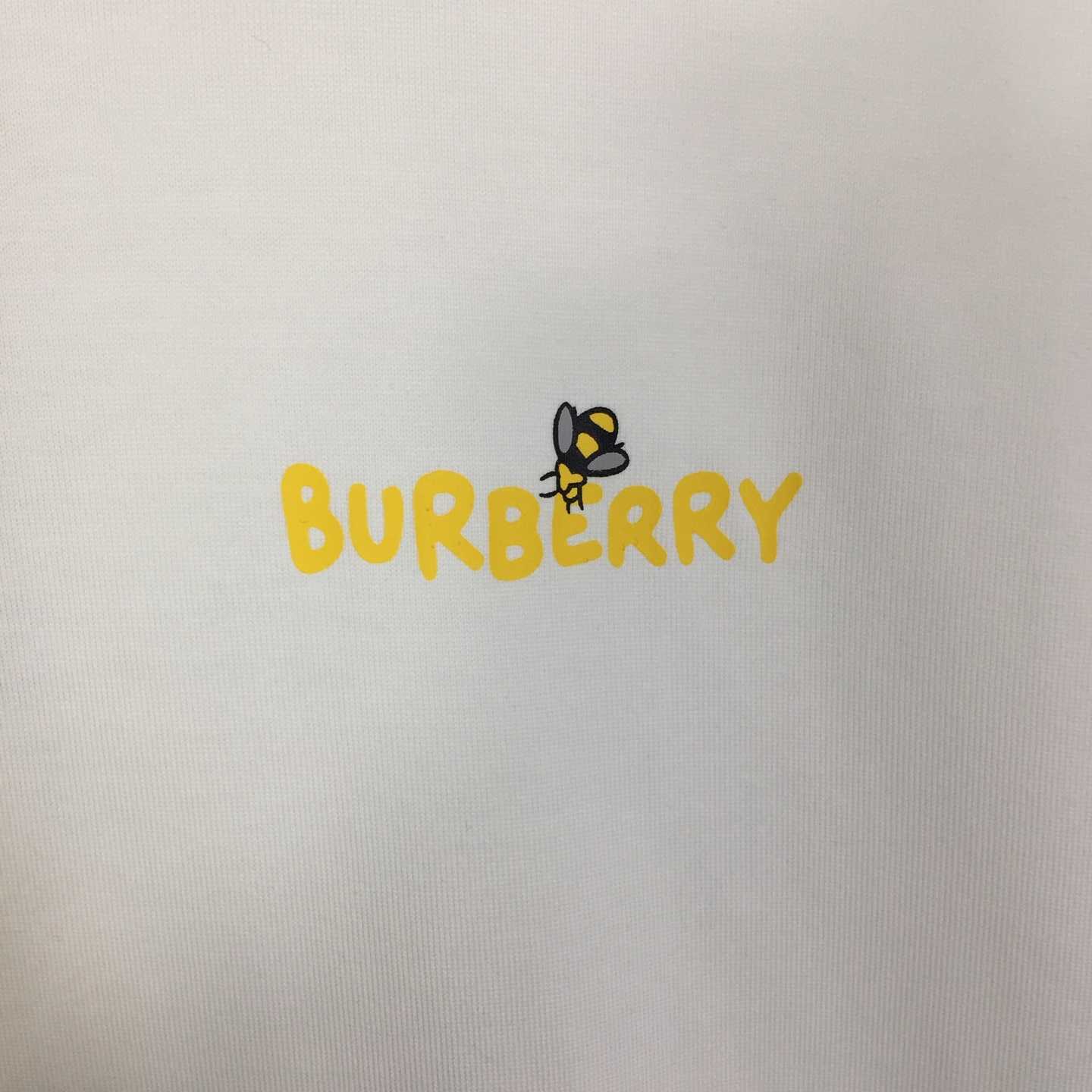 Dior T-shirt With Bee Print - EUR FASHION