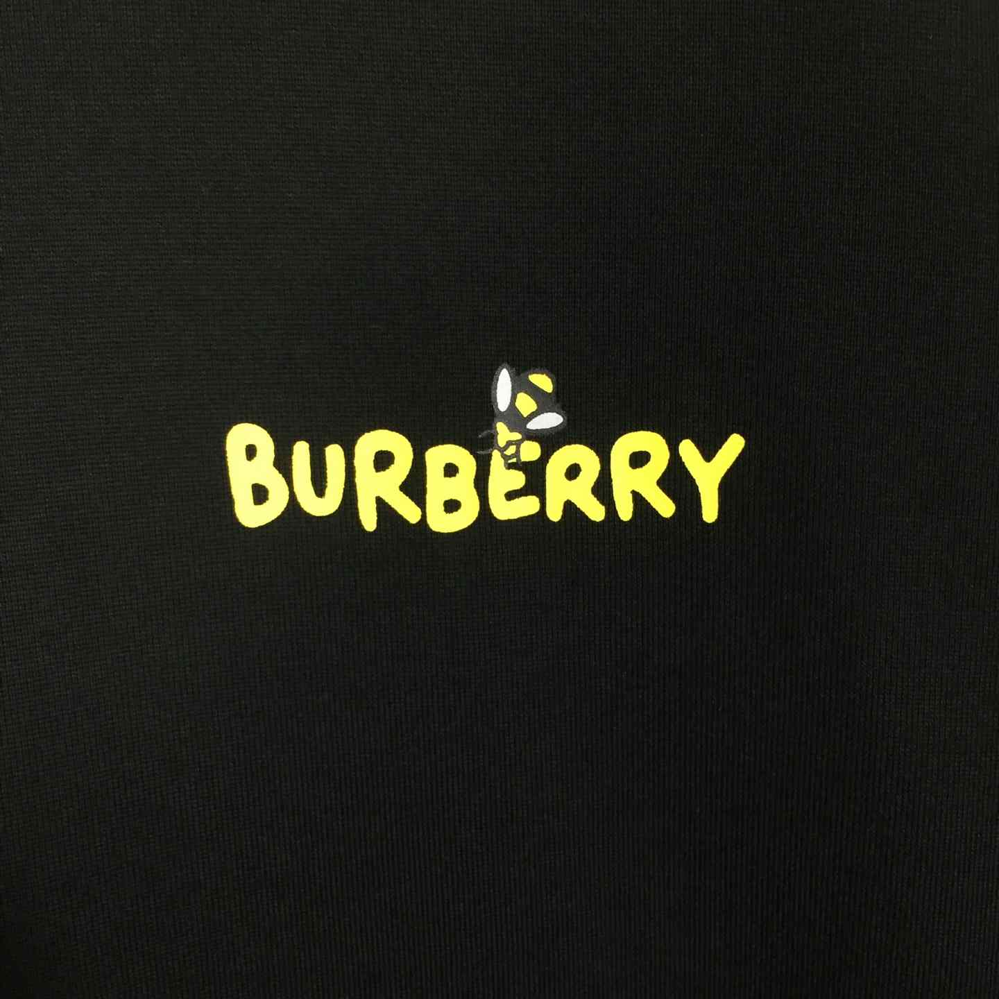 Dior T-shirt With Bee Print - EUR FASHION