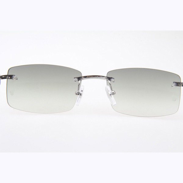 Cartier CT_3524012 Black Buffalo Sunglasses In Silver Grey - EUR FASHION