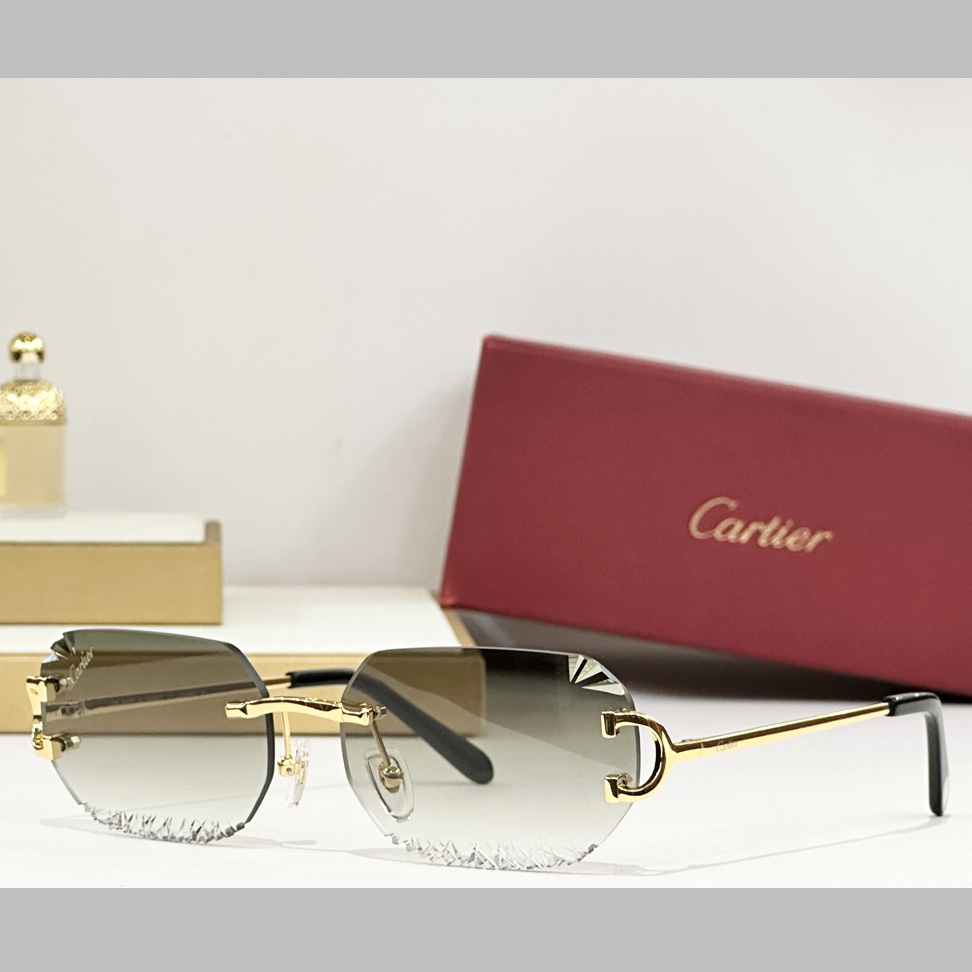 Cartier CT820093O Sunglasses   CT0473S - EUR FASHION