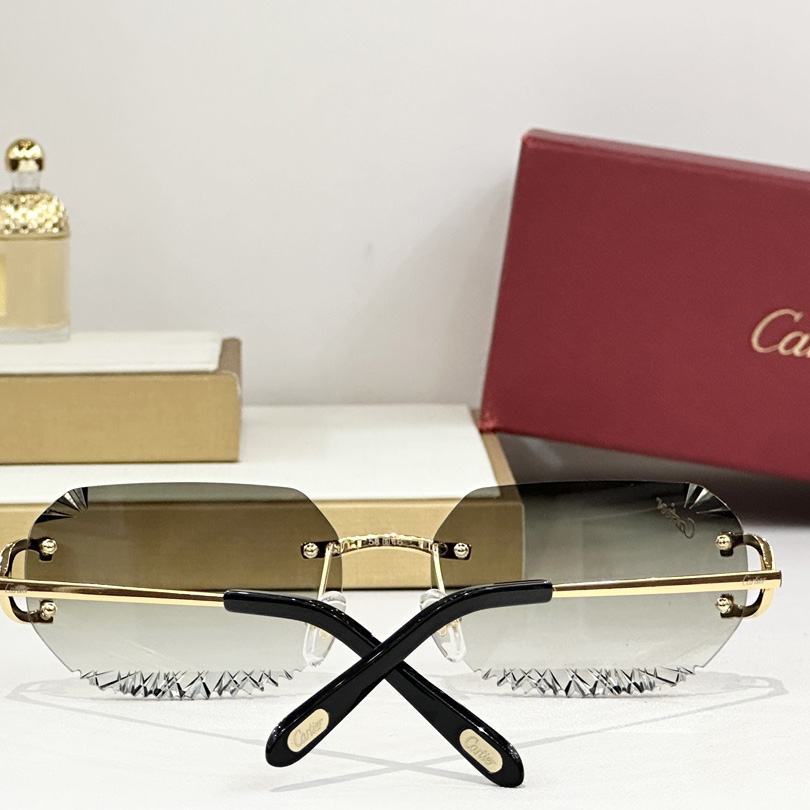 Cartier CT820093O Sunglasses   CT0473S - EUR FASHION