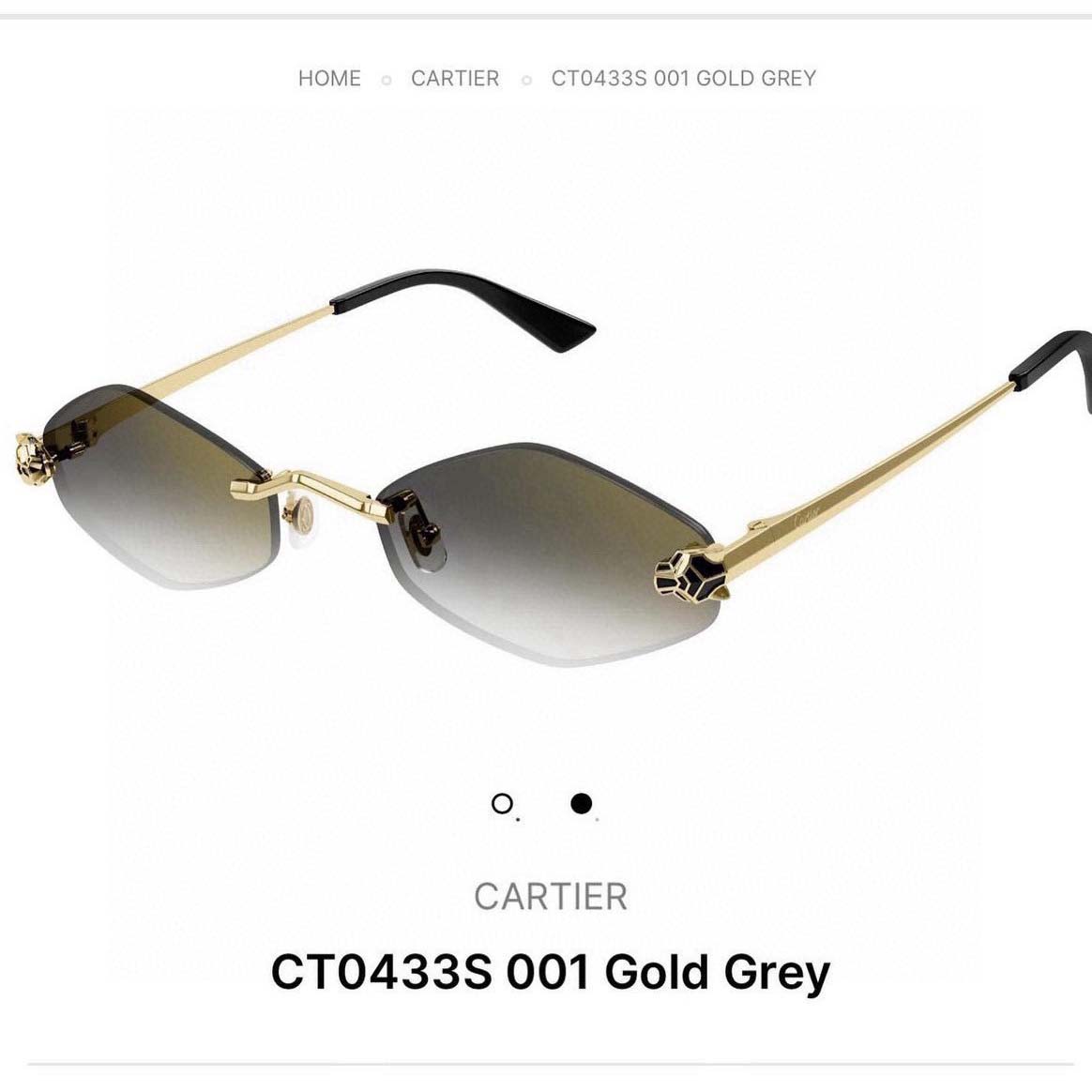 Cartier Sunglasses - EUR FASHION