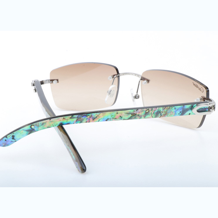 Cartier CT_3524012 Shell Mix Black Buffalo Sunglasses In Silver Brown - EUR FASHION