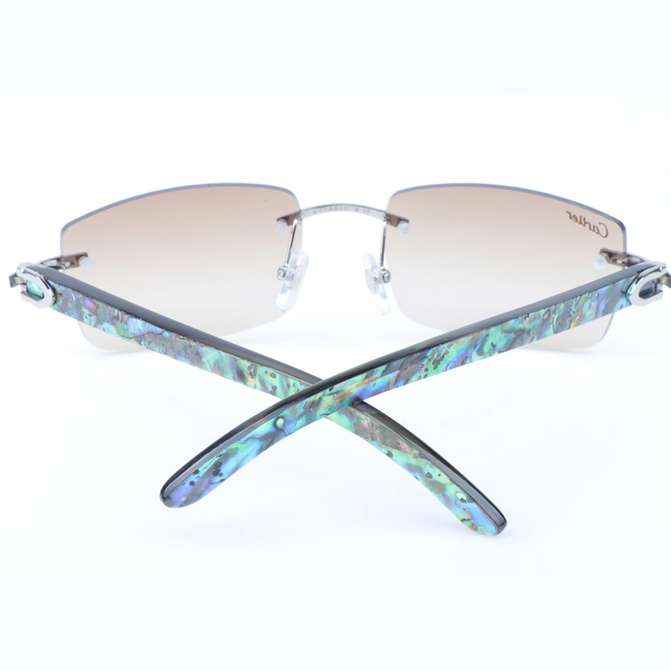 Cartier CT_3524012 Shell Mix Black Buffalo Sunglasses In Silver Brown - EUR FASHION