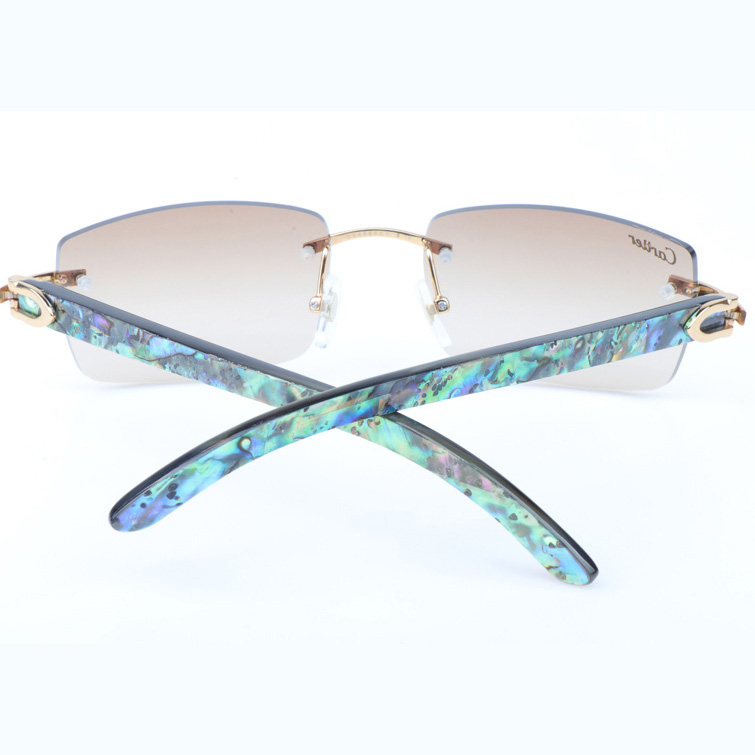 Cartier CT_3524012 Shell Mix Black Buffalo Sunglasses In Gold Brown - EUR FASHION