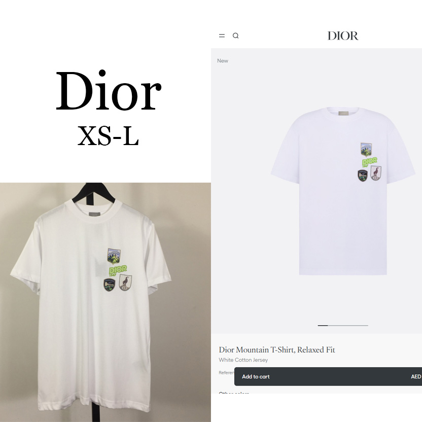 Dior Mountain T-Shirt, Relaxed Fit - EUR FASHION